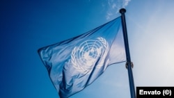 La bandera de las Naciones Unidas.