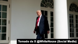 El presidente de los Estados Unidos Donald J. Trump en la Casa Blanca.