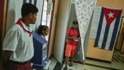 Cubalex explica el derecho de los cubanos a observar y monitorear elecciones