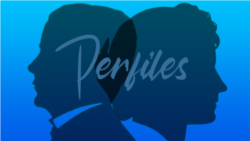 Perfiles Perfiles