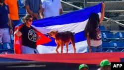 Seguidores del equipo Leñadores de Las Tunas sostienen la bandera cubana durante un partido de la Serie del Caribe 2019. AFP/ Luis ACOSTA