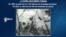 Historia Perdida: La zafra azucarera cubana