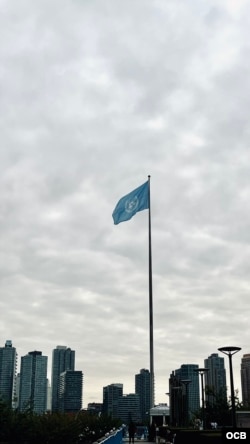 Sede de Naciones Unidas en Nueva York, donde se celebra la 80 Asamblea General de las Naciones Unidas.